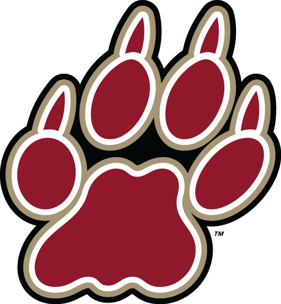 Lafayette Leopards 2000-Pres Alternate Logo v4 diy DTF decal sticker